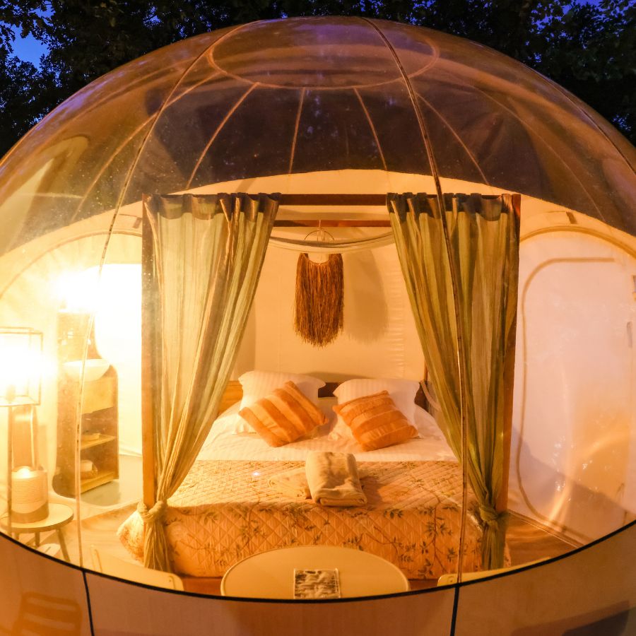Hébergement insolite en bulle transparente éclairée de nuit au cœur de la forêt