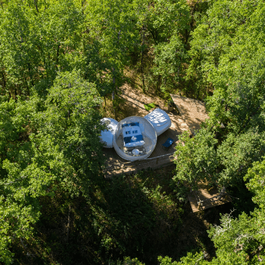 Coeur de Bull Bulle Nuit atypique