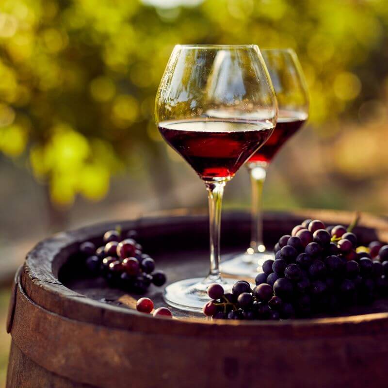 Meilleur vignoble Gaillac Tarn