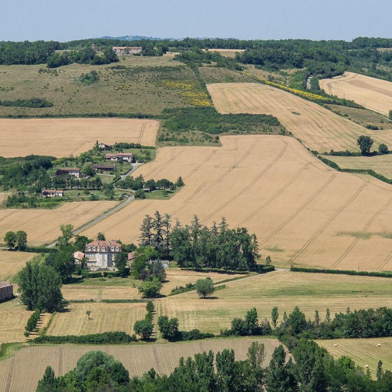 Vignobles et champs Cordes sur Ciel